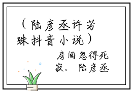 （陆彦丞许芳珠抖音小说）陆彦丞许芳珠小说全文阅读免费（结局）+（免费）