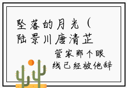 坠落的月光（陆景川唐清芷）全文免费阅读无弹窗大结局_坠落的月光最新章节列表_笔趣阁