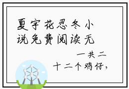 夏宇花忍冬小说免费阅读无弹窗大结局，炮灰女配在年代文里兴风作浪最新章节列表