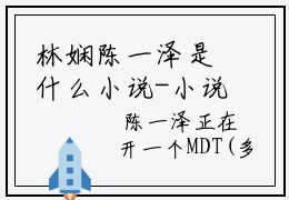 林娴陈一泽是什么小说-小说陈一泽林娴全文阅读