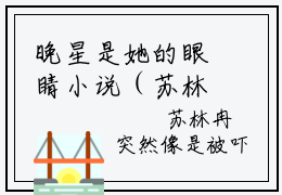晚星是她的眼睛小说（苏林冉莫凌风）全文免费阅读无弹窗大结局_晚星是她的眼睛小说免费阅读最新章节列表笔趣阁（苏林冉莫凌风）