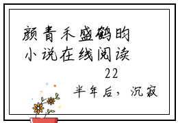 颜青禾盛鹤昀小说在线阅读（颜青禾盛鹤昀）全文免费阅读无弹窗大结局