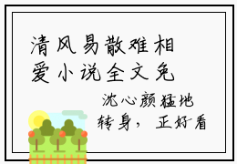 清风易散难相爱小说全文免费阅读_（清风易散难相爱）沈心颜周昱深小说最新章节列表笔趣阁