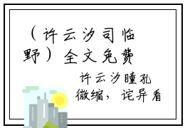 （许云汐司临野）全文免费阅读无弹窗大结局_（许云汐司临野小说后续阅读无