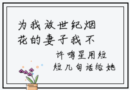 为我放世纪烟花的妻子我不要了小说全文免费阅读（许鸣星）全文免费阅读无弹窗_许鸣星小说全文免费阅读