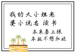 我的大小姐老婆小说名 读书推荐 秦玉颜若雪