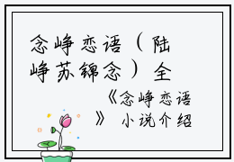 念峥恋语（陆峥苏锦念）全文免费阅读无弹窗大结局_（陆峥苏锦念）念峥恋语免费阅读无弹窗最新章节列表（陆峥苏锦念）