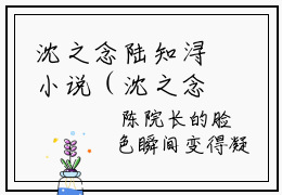 沈之念陆知浔小说（沈之念陆知浔）全文免费阅读无弹窗_沈之念陆知浔小说_笔趣阁