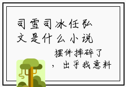 司雪司冰任弘文是什么小说司雪司冰任弘文小说缅北：逃离病娇大佬是《缅北：