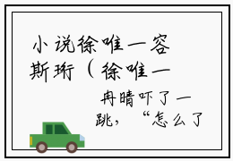 小说徐唯一容斯珩（徐唯一容斯珩）全文免费阅读-最火热门小说徐唯一容斯珩最新章节更新