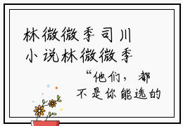 林微微季司川小说林微微季司川全文免费阅读（林微微季司川已完结）