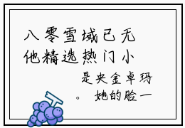 八零雪域已无他精选热门小说沈凌枭央金卓玛已完结全集大结局