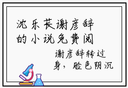 沈乐苌谢彦辞的小说免费阅读（沈乐苌谢彦辞的小说免费阅读）全文完整版免费