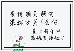 奈何明月照沟渠林汐月(奈何明月照沟渠林汐月小说)全文免费阅读无弹窗大结局-奈何明月照沟渠林汐月小说最新章节列表_笔趣阁