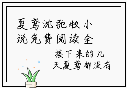 夏鸢沈弛牧小说免费阅读全文小说夏鸢沈弛牧全章节阅读