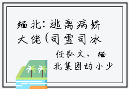 缅北:逃离病娇大佬(司雪司冰任弘文）小说全文免费司雪司冰任弘文读无弹窗大