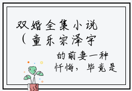 双婚全集小说（童乐宗泽宇）全文免费阅读无弹窗大结局_双婚最新章节列表_笔趣阁（童乐宗泽宇）