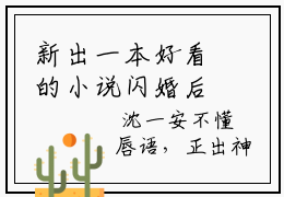 新出一本好看的小说闪婚后,宋太太她身价千万躺赢-沈一安宋凛小说免费阅读完整版_笔趣阁（沈一安宋凛）
