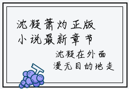 沈凝萧灼正版小说最新章节在线阅读-完结版小说（沈凝萧灼）
