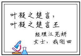 叶凝之楚言，叶凝之楚言王在线无弹窗阅读