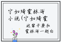 宁如琦霍林海小说(宁如琦霍林海)全文免费阅读无弹窗大结局_宁如琦霍林海小说免费阅读无弹窗最新章节列表