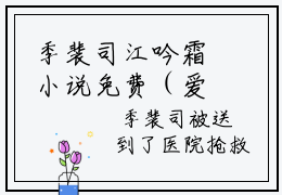 季裴司江吟霜小说免费（爱消失在海岸）全文免费阅读无弹窗-爱消失在海岸小说全文免费阅读最新章节列表