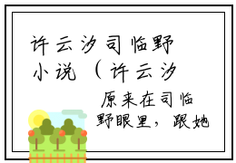 许云汐司临野小说 （许云汐司临野）全文免费阅读无弹窗大结局_ （许云汐司临