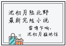 沈初月陆北野最新完结小说阅读-沈初月陆北野小说收藏阅读