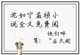 沈如宁孟祯小说全文免费阅读小说我在云边等他归来热门小说完整版阅读
