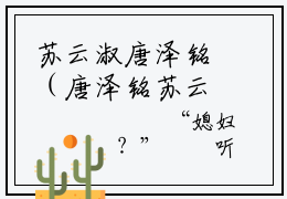 苏云淑唐泽铭（唐泽铭苏云淑）全文免费阅读无弹窗大结局_（苏云淑唐泽铭）唐泽铭苏云淑小说在线阅读无删减