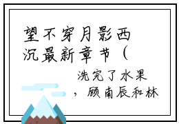 望不穿月影西沉最新章节（顾南辰林晚意）全文免费阅读无弹窗大结局_顾南辰林晚意免费阅读