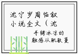 沈宁岁周临叙小说全文（沈宁岁周临叙）全文免费阅读无弹窗大结局_（沈宁岁