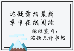 沈凝萧灼最新章节在线阅读-小说沈凝萧灼精彩片段试读