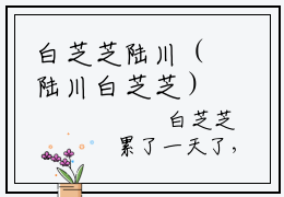 白芝芝陆川（陆川白芝芝）小说最新章节阅读-全网最新首发小说白芝芝陆川（陆川白芝芝）免费阅读全章节