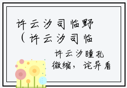 许云汐司临野（许云汐司临野）全文在线阅读无弹窗大结局_（许云汐司临野）