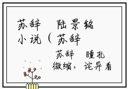 苏辞玥陆景铭小说（苏辞玥陆景铭）全文免费阅读无弹窗大结局(苏辞玥陆景铭