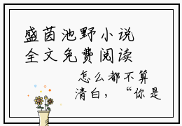 盛茵池野小说全文免费阅读 （池野，我们的未来，没有了）免费阅读全文免费阅读无弹窗大结局