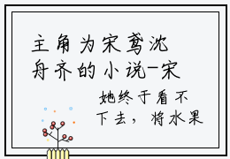 主角为宋鸢沈舟齐的小说-宋鸢沈舟齐小说全文免费阅读