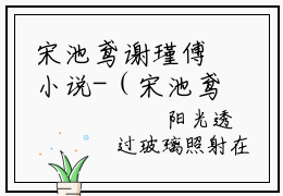宋池鸢谢瑾傅小说-（宋池鸢谢瑾傅）小说全文免费阅读