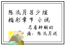 陈流月吕少煊精彩章节 小说陈流月吕少煊全文无删减版