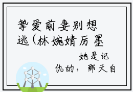挚爱前妻别想逃(林婉婧厉墨诚)全文免费阅读无弹窗大结局_(挚爱前妻别想逃)免费阅读无弹窗最新章节列表_笔趣阁(林婉婧厉墨诚)