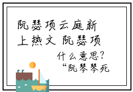 阮瑟项云庭新上热文 阮瑟项云庭无广告免费阅读