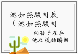 沈如燕顾司辰（沈如燕顾司辰）小说全文免费阅读无弹窗-沈如燕顾司辰全章节在线阅读