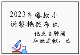 2023年爆款小说黎艳然布玖，黎艳然布玖全文阅读