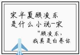 宋半夏顾凌东是什么小说-宋半夏顾凌东全文免费阅读无弹窗大结局（宋半夏顾凌东）最新章节阅读