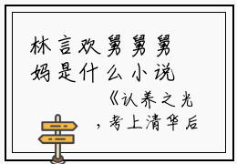 林言欢舅舅舅妈是什么小说_林言欢舅舅舅妈小说认养之光,考上清华后，亲生父母后悔了小说是《认养之光,考上清华后，亲生父母后悔了小说》