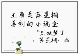 主角是苏星桐姜钊的小说全文免费阅读无弹窗大结局-《苏星桐姜钊》完整章节