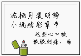 沈栖月裴明铮小说精彩章节-主角为沈栖月裴明铮在线阅读