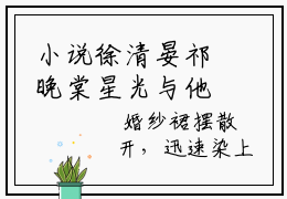 小说徐清晏祁晚棠星光与他求书热文免费阅读-徐清晏祁晚棠小说分享全文星光与他
