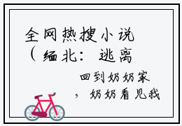 全网热搜小说（缅北：逃离病娇大佬）的小说主角是（司雪司冰任弘文小说）缅